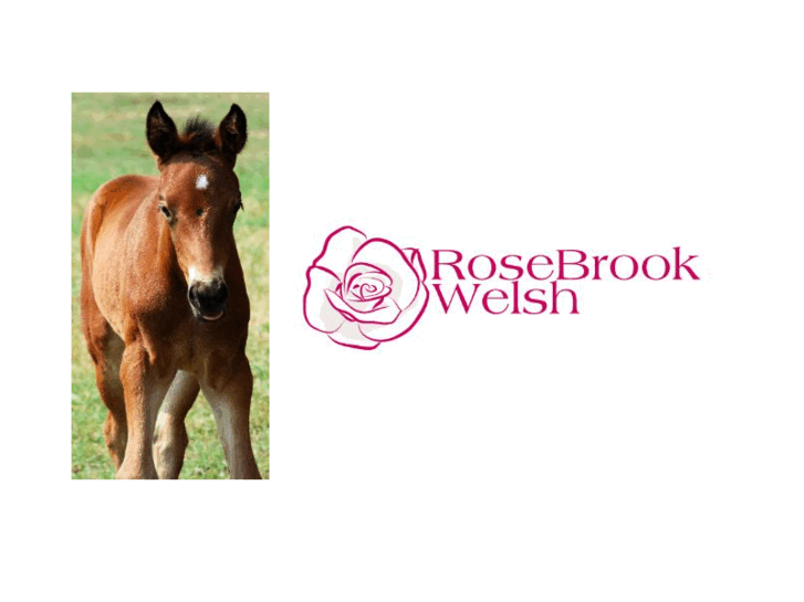 www.rosebrookwelsh.com