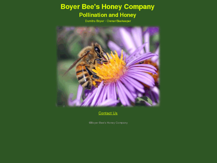 www.boyerbees.com