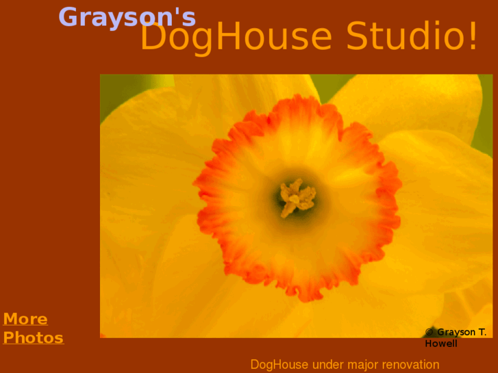 www.graysonsdoghousestudio.com