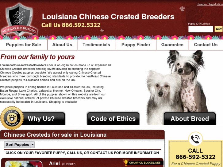 www.louisianachinesecrestedbreeders.com