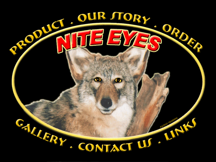 www.nite-eyes.net