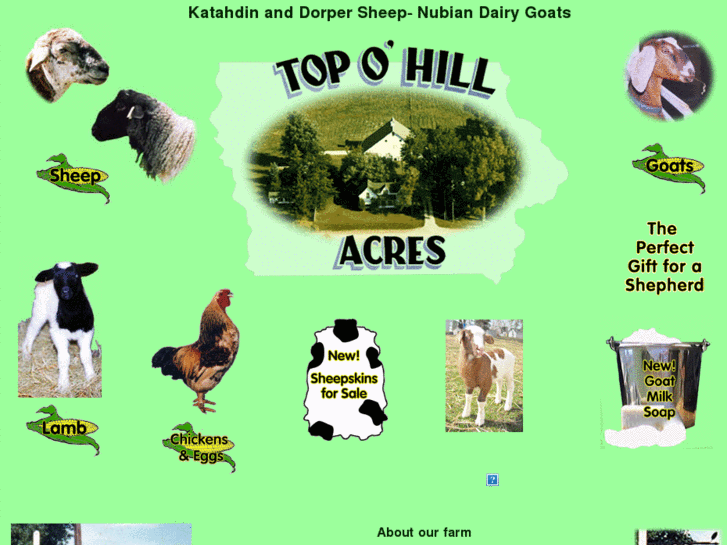 www.top-o-hill-acres.com