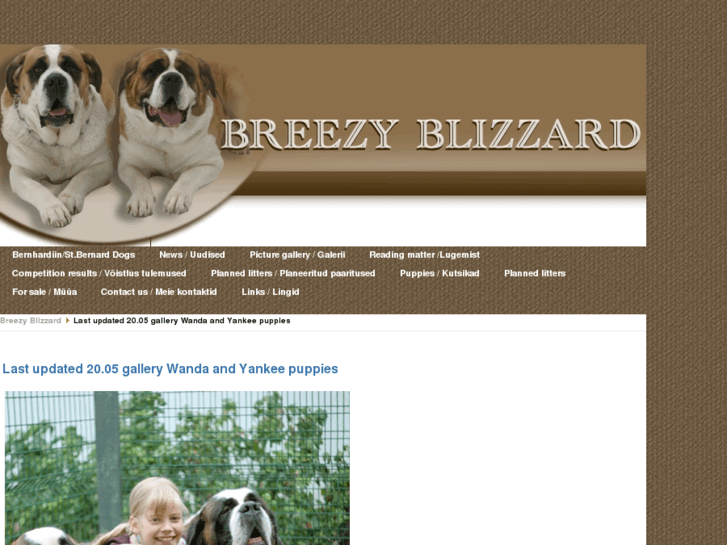 www.breezyblizzard.com