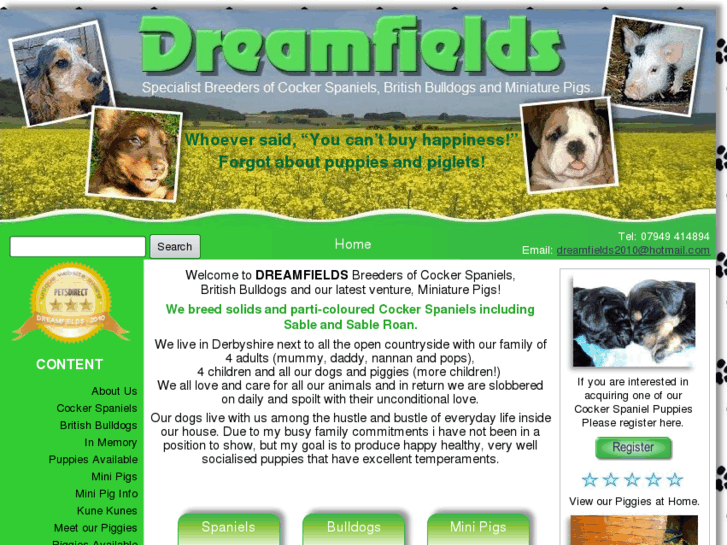 www.dreamfields-cockerspaniels.co.uk