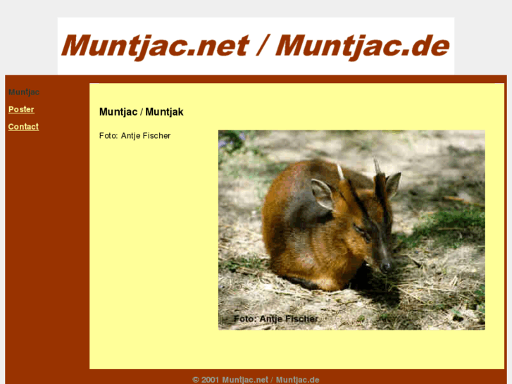 www.muntjac.net