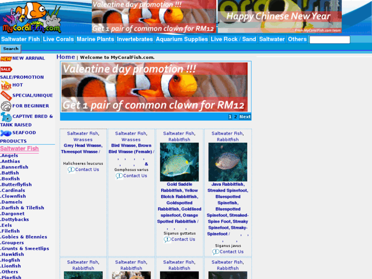 www.mycoralfish.com