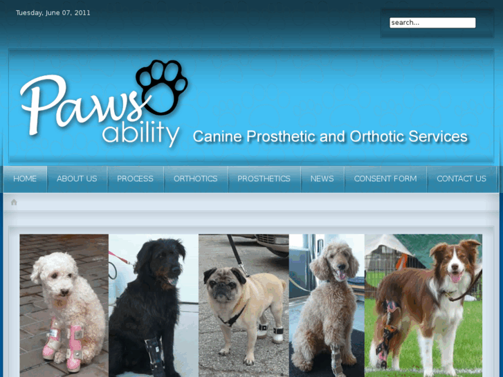 www.pawsability.ca