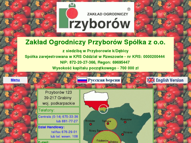 www.przyborow.pl