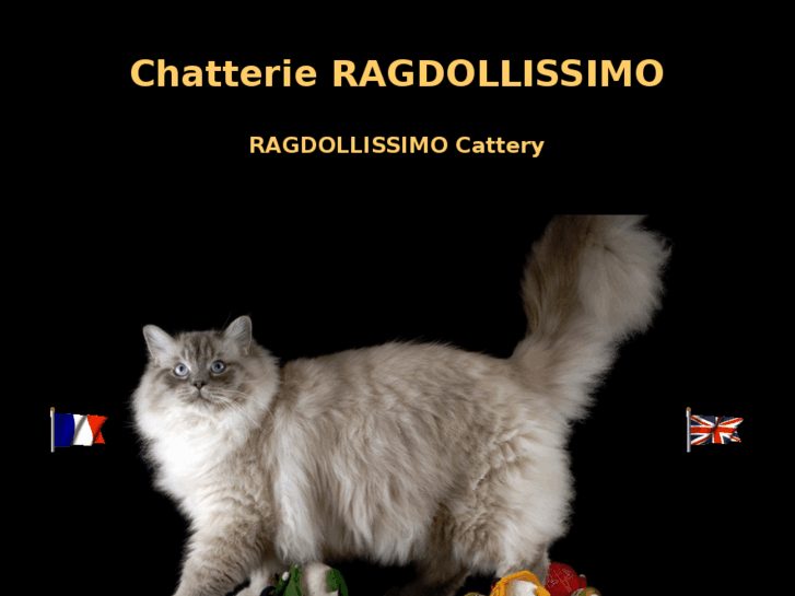 www.ragdollissimo.com