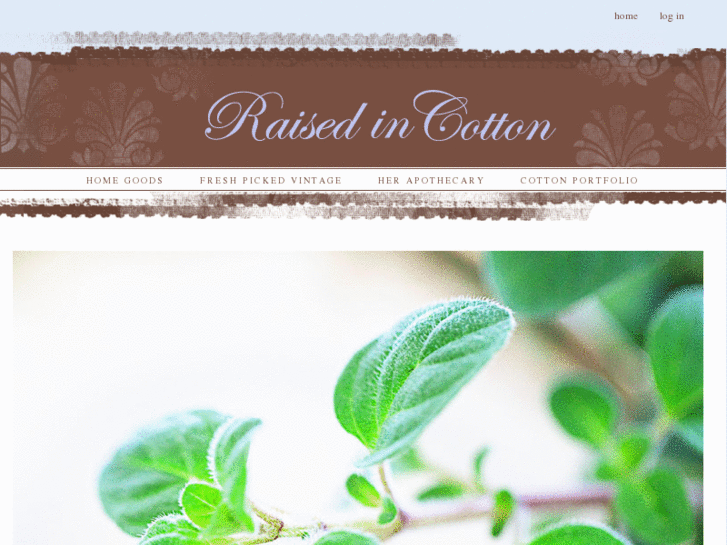 www.raisedincotton.com