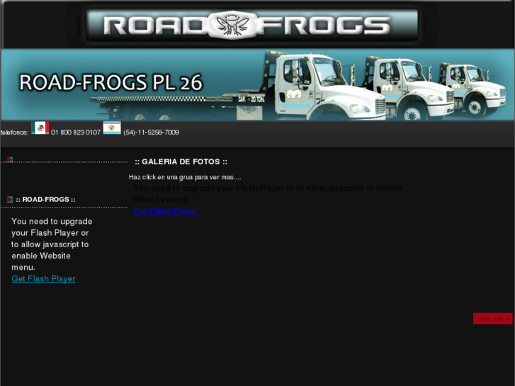 www.road-frogs.com