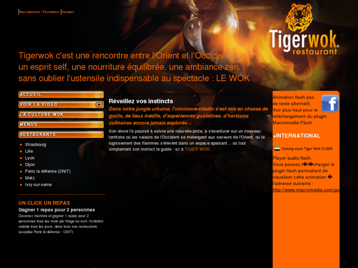 www.tiger-wok.com