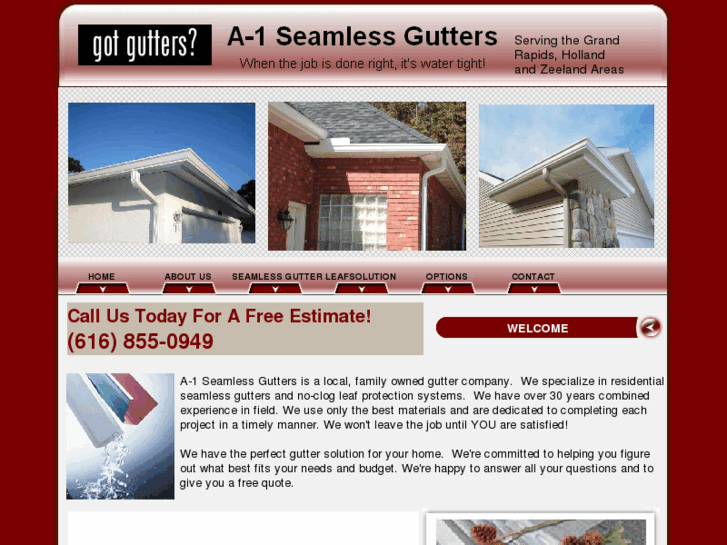 www.a-1seamlessgutters.biz