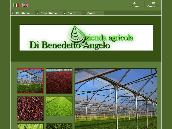 www.agridibenedetto.com