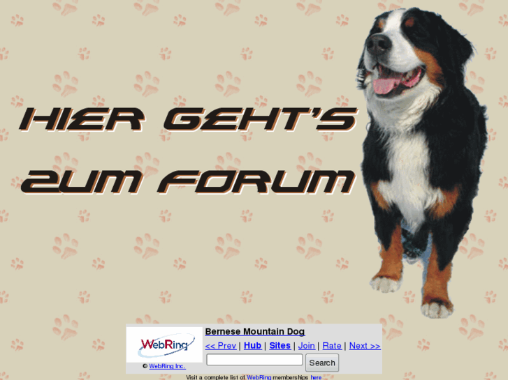 www.berner-forum.de