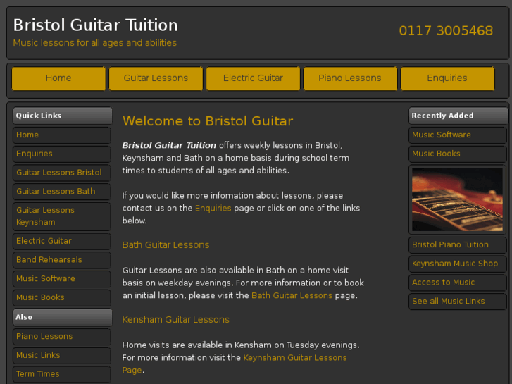 www.bristolguitar.com