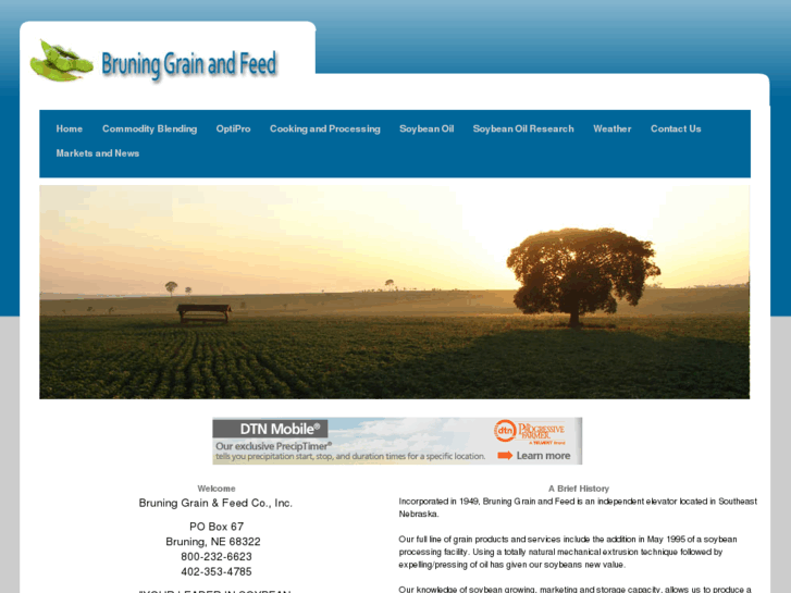 www.bruninggrainco.com
