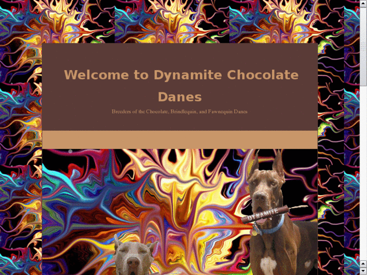 www.dynamitechocolatedanes.com