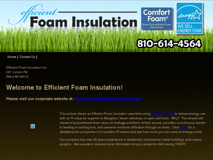 www.efficientfoaminsulationofmi.com