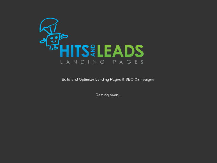 www.hitsandleads.com