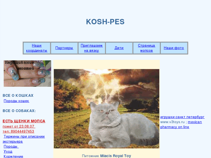 www.kosh-pes.info