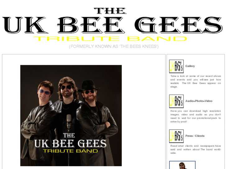 www.beegeestributeshow.com