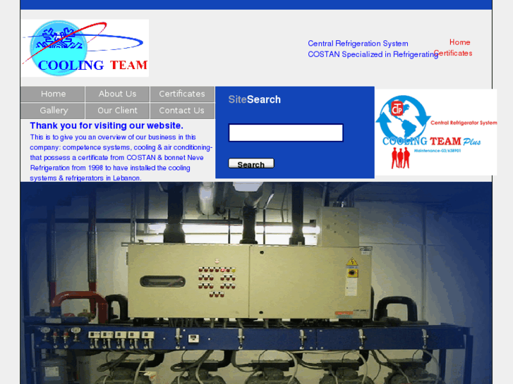 www.coolingteam.com