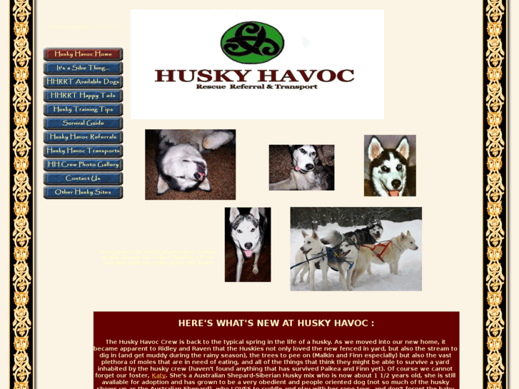 www.huskyhavoc.com