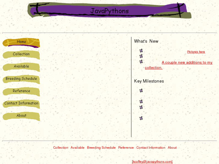 www.javapythons.com