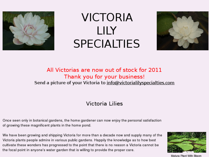 www.victorialilyspecialties.com