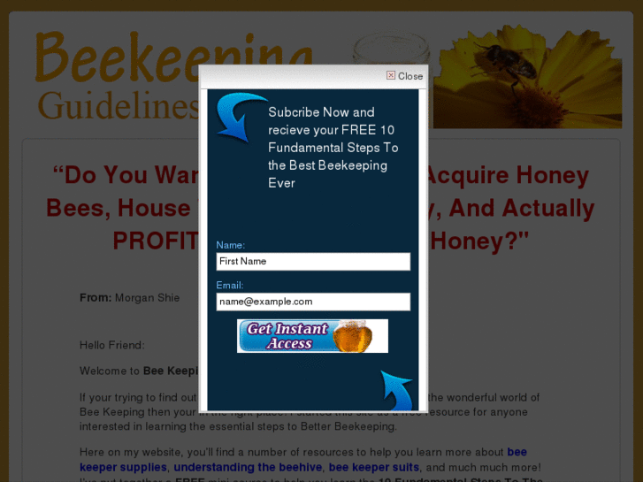 www.beekeepingguidelines.com