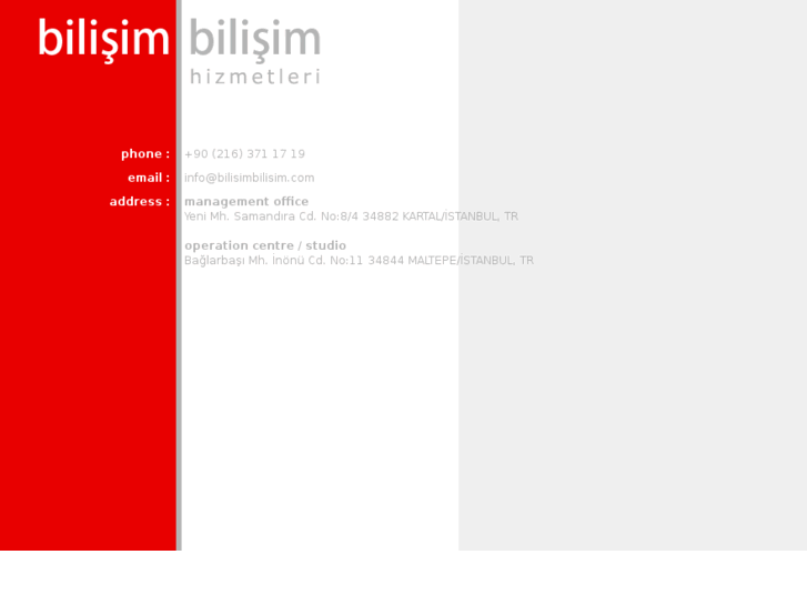 www.bilisimbilisim.com