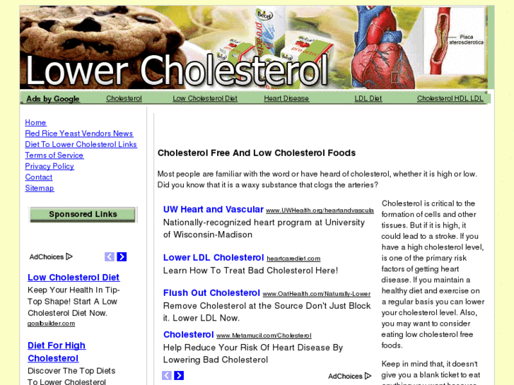 www.naturalcholesteroltreatments.com