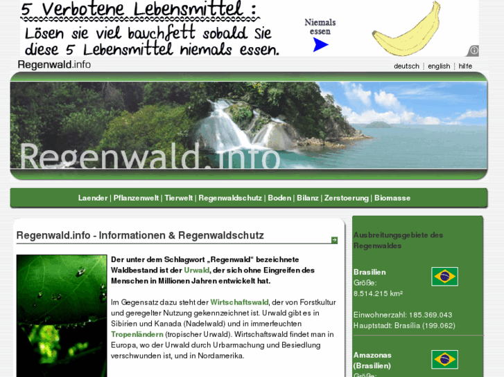 www.regenwald.info