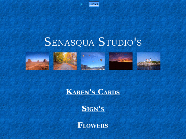 www.senasqua.info