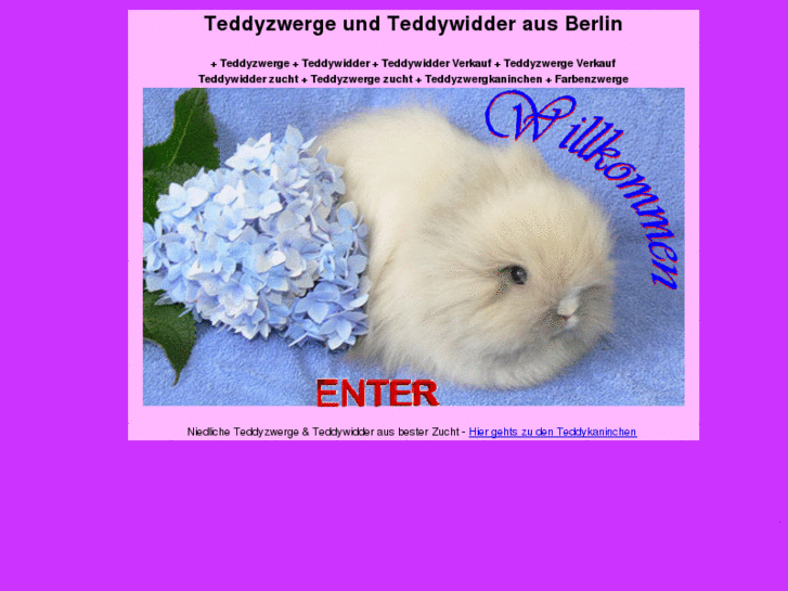 www.teddyzwerge-berlin.de