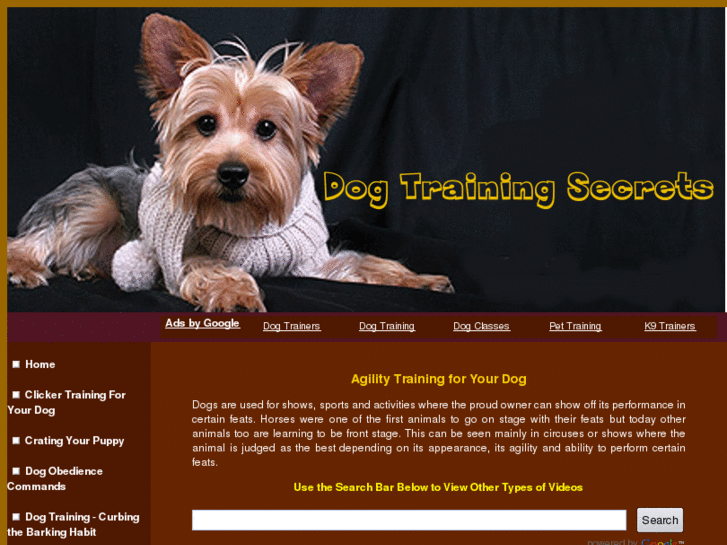 www.trainingdoggie.com