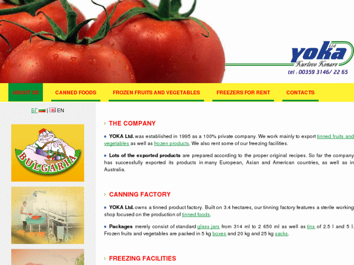 www.yokafoods.com
