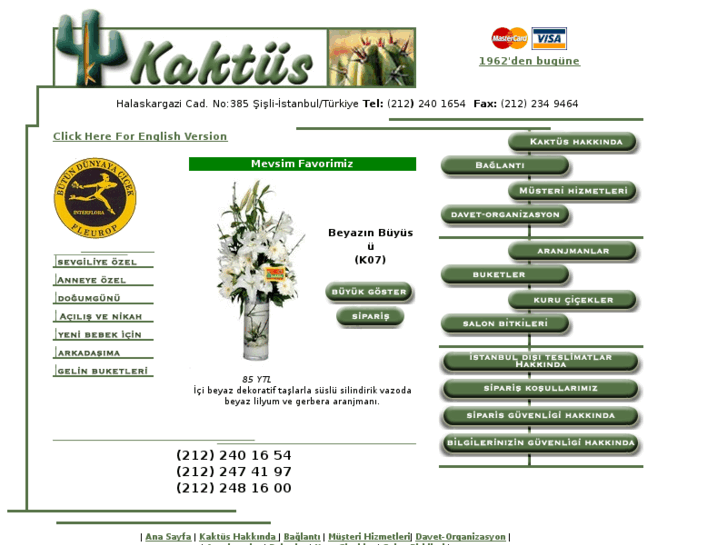 www.kaktuscicek.com