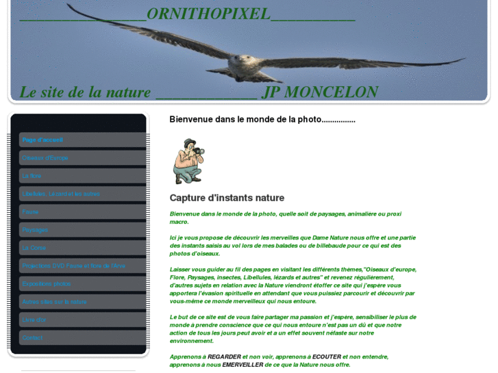 www.ornithopixel.com