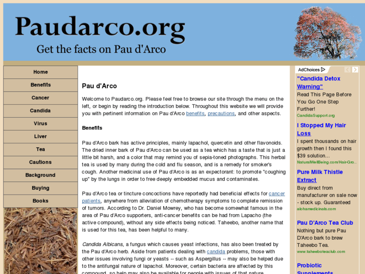 www.paudarco.org