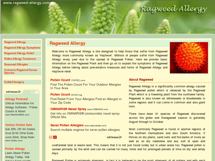 www.ragweed-allergy.com