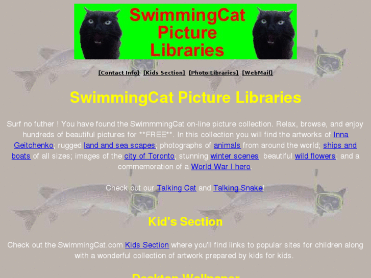 www.swimmingcat.com