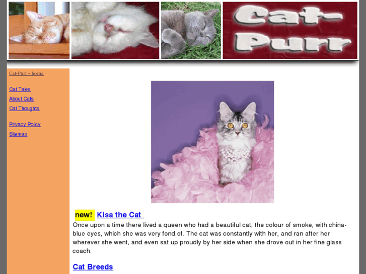 www.cat-purr.com