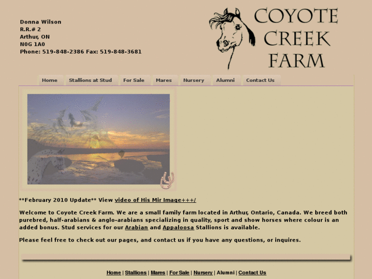 www.coyotecreekhorsefarm.com