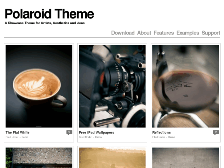 www.polaroidtheme.com