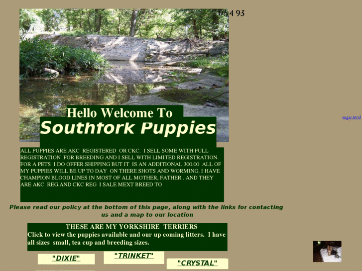 www.southforkpuppies.com