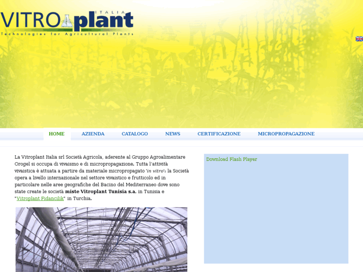 www.vitroplant.biz