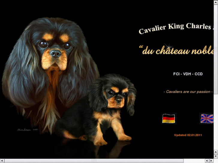 www.chateau-noblesse-cavaliers.com