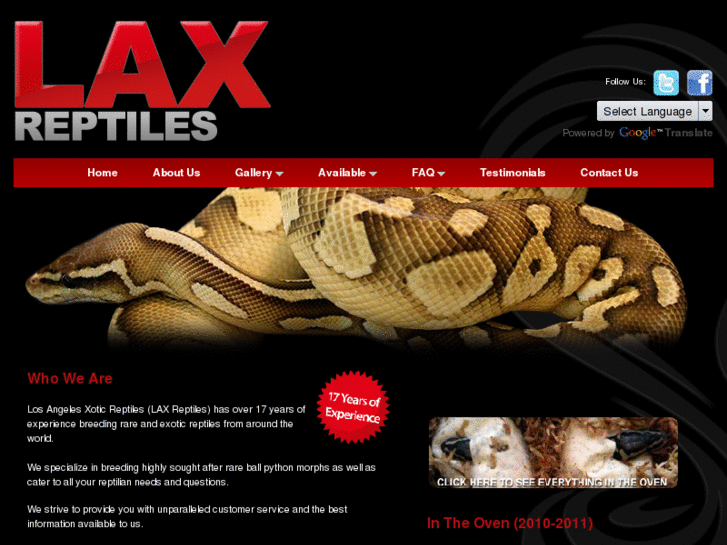 www.laxreptiles.com